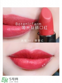 ֲ����԰�ں촽��ɫ�� ֲ����԰�ں촽����ɫ